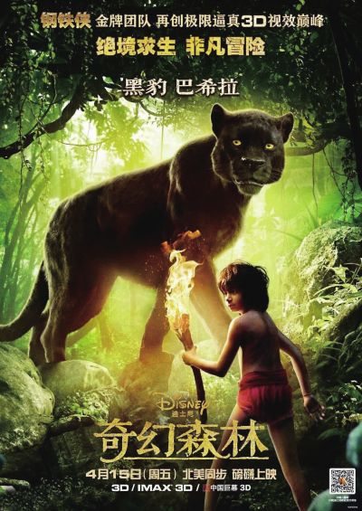 代特莫尔德音乐学院物理学文凭证书
